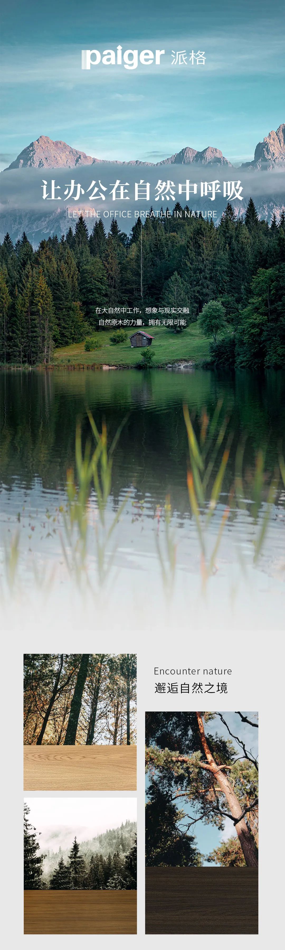 派格，讓辦公在自然中呼吸